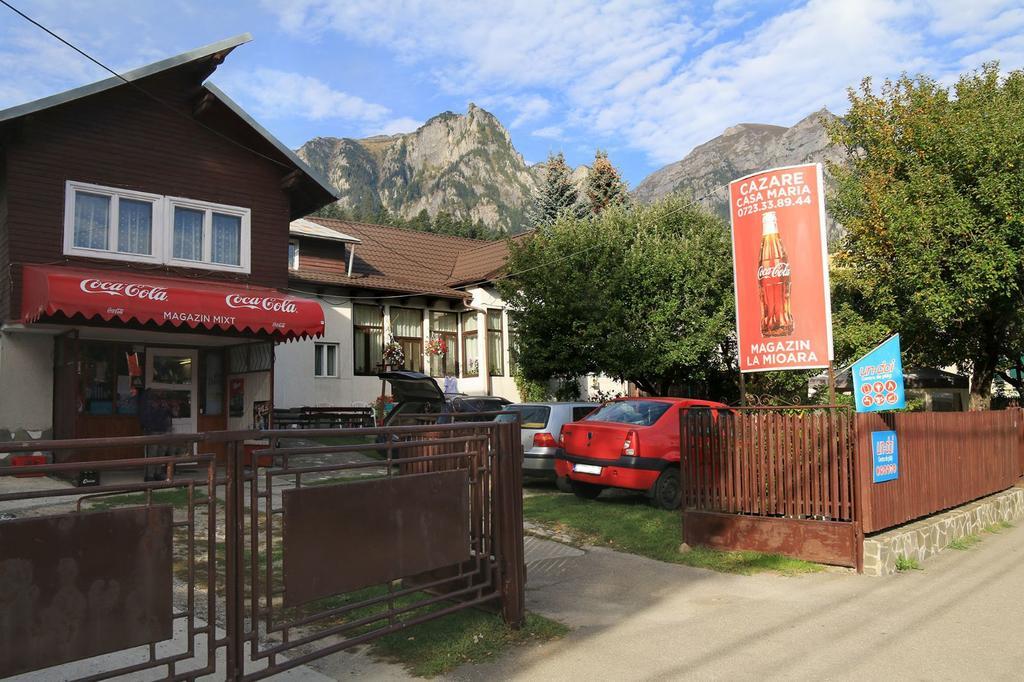 Casa Maria Busteni - Poiana Tapului Exteriér fotografie